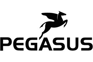 pegasus